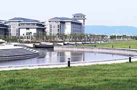 东南大学